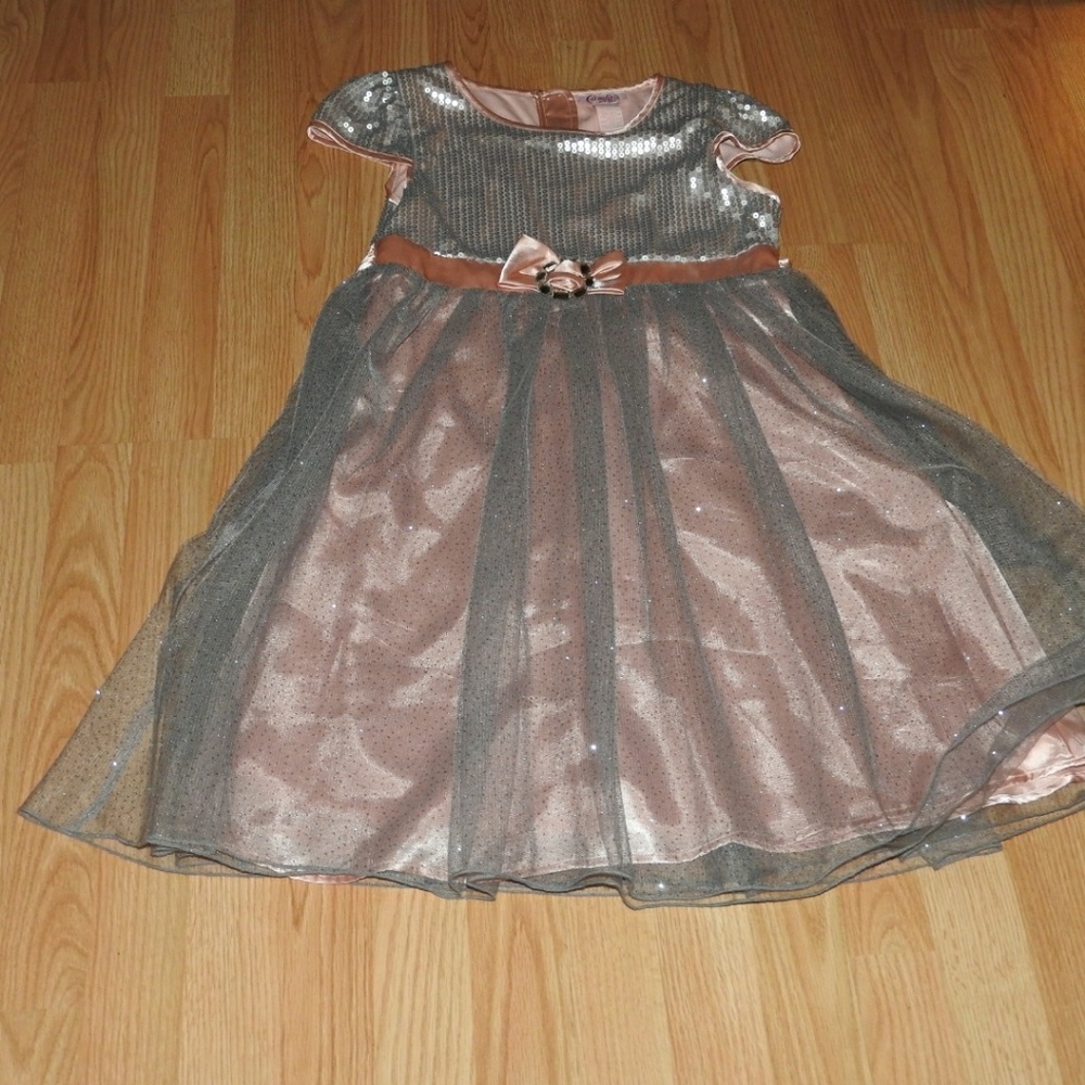 A Brand New dress, with the tags and all.